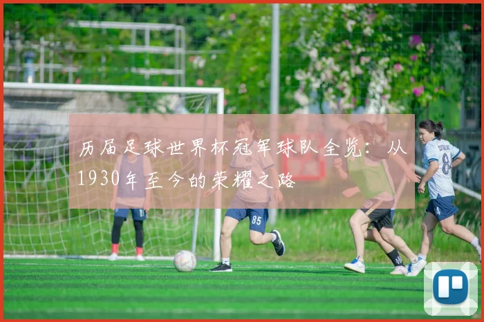 历届足球世界杯冠军球队全览：从1930年至今的荣耀之路
