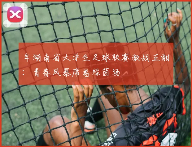 年湖南省大学生足球联赛激战正酣：青春风暴席卷绿茵场